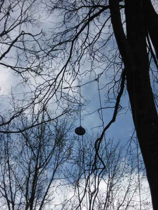 Dipole in tree